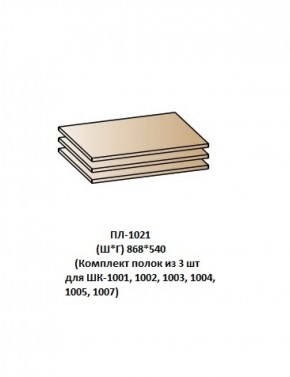 ПЛ-1021 (Комплект полок из 3 шт для ШК-1001, 1002, 1003, 1004, 1005, 1007) в Новом Уренгое - novyy-urengoy.ok-mebel.com | фото