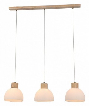 Подвесной светильник Arte Lamp Caprice A4184SP-3BR в Новом Уренгое - novyy-urengoy.ok-mebel.com | фото