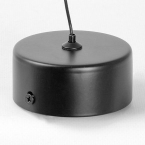 Подвесной светильник Lussole Blount LSP-7356 в Новом Уренгое - novyy-urengoy.ok-mebel.com | фото 6