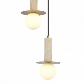 Подвесной светильник ST-Luce Earthy SL1194.303.03 в Новом Уренгое - novyy-urengoy.ok-mebel.com | фото 4