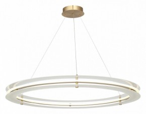 Подвесной светильник ST-Luce FAGY SL6245.213.01 в Новом Уренгое - novyy-urengoy.ok-mebel.com | фото 4