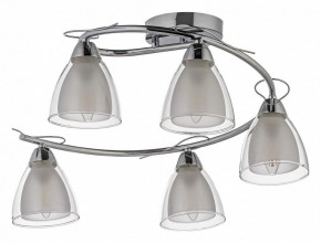 Потолочная люстра Arti Lampadari Paola, Tavenna Nickel Paola E 1.1.5 N в Новом Уренгое - novyy-urengoy.ok-mebel.com | фото