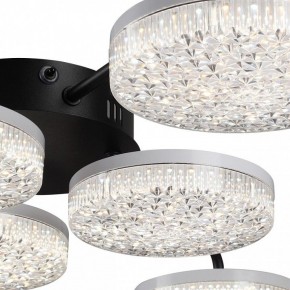 Потолочная люстра Lumion Didana 8236/6CL в Новом Уренгое - novyy-urengoy.ok-mebel.com | фото 9