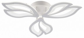 Потолочная люстра Natali Kovaltseva FORTUNA LED LAMPS 81107/2C в Новом Уренгое - novyy-urengoy.ok-mebel.com | фото