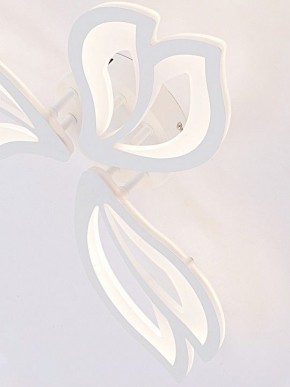 Потолочная люстра Natali Kovaltseva FORTUNA LED LAMPS 81107/2C в Новом Уренгое - novyy-urengoy.ok-mebel.com | фото 11
