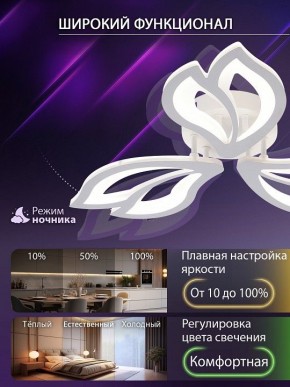 Потолочная люстра Natali Kovaltseva FORTUNA LED LAMPS 81107/2C в Новом Уренгое - novyy-urengoy.ok-mebel.com | фото 5