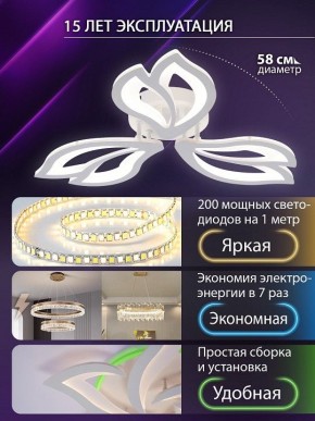 Потолочная люстра Natali Kovaltseva FORTUNA LED LAMPS 81107/2C в Новом Уренгое - novyy-urengoy.ok-mebel.com | фото 6