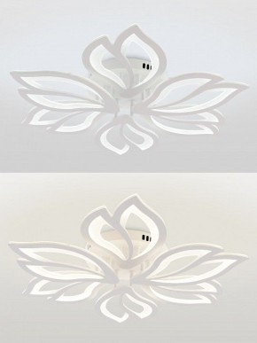 Потолочная люстра Natali Kovaltseva FORTUNA LED LAMPS 81107/6C в Новом Уренгое - novyy-urengoy.ok-mebel.com | фото 4