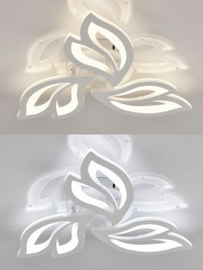 Потолочная люстра Natali Kovaltseva  LED LAMPS 81426 в Новом Уренгое - novyy-urengoy.ok-mebel.com | фото 4