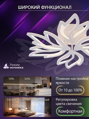 Потолочная люстра Natali Kovaltseva RIF LED LAMPS 81118/5C в Новом Уренгое - novyy-urengoy.ok-mebel.com | фото 6