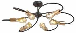 Потолочная люстра Vitaluce V3076 V3076-1/6PL в Новом Уренгое - novyy-urengoy.ok-mebel.com | фото 3