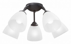 Потолочная люстра Vitaluce V3184 V3737-2/5PL в Новом Уренгое - novyy-urengoy.ok-mebel.com | фото