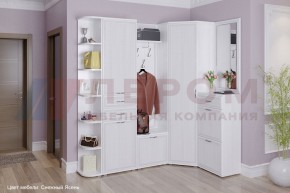 Прихожая Карина композиция 5 (Снежный ясень) в Новом Уренгое - novyy-urengoy.ok-mebel.com | фото