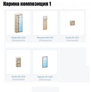 Прихожая Карина (модульная) в Новом Уренгое - novyy-urengoy.ok-mebel.com | фото 4