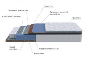 PROxSON Матрас Active Duo M/F (Ткань Трикотаж Эко) 80x195 в Новом Уренгое - novyy-urengoy.ok-mebel.com | фото 7