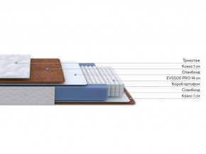 PROxSON Матрас Active F Roll (Ткань Трикотаж Эко) 80x195 в Новом Уренгое - novyy-urengoy.ok-mebel.com | фото 2