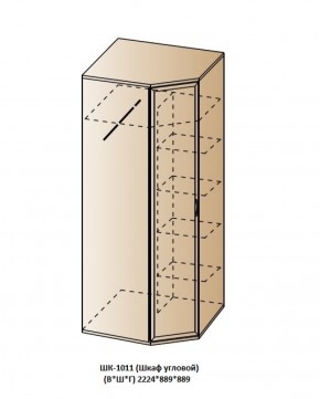 ШК-1011 (Шкаф угловой) в Новом Уренгое - novyy-urengoy.ok-mebel.com | фото