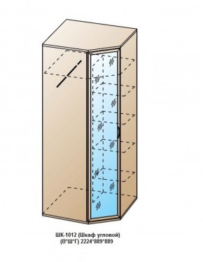 ШК-1012 (Шкаф угловой) в Новом Уренгое - novyy-urengoy.ok-mebel.com | фото