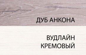 Шкаф 1DZ, OLIVIA, цвет вудлайн крем/дуб анкона в Новом Уренгое - novyy-urengoy.ok-mebel.com | фото 3