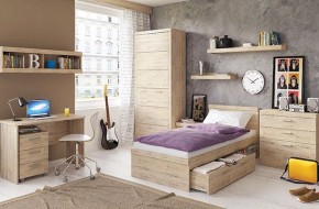 Шкаф 2D OSKAR , цвет дуб Санремо в Новом Уренгое - novyy-urengoy.ok-mebel.com | фото 5