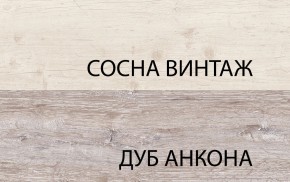 Шкаф 2D1S, MONAKO, цвет Сосна винтаж/дуб анкона в Новом Уренгое - novyy-urengoy.ok-mebel.com | фото 1