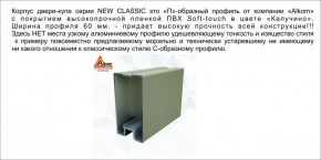 Шкаф-купе 1500 серии NEW CLASSIC K3+K3+B2+PL1 (2 ящика+1 штанга) профиль «Капучино» в Новом Уренгое - novyy-urengoy.ok-mebel.com | фото 5