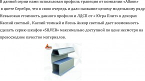 Шкаф-купе 1500 серии SILVER S1+S1+B2+PL2 (2 ящика+1 штанга+1 полка) профиль «Серебро» в Новом Уренгое - novyy-urengoy.ok-mebel.com | фото 4