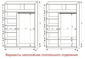 Шкаф-купе 1600 серии SOFT D1+D3+B2+PL1 (2 ящика+1штанга) профиль «Графит» в Новом Уренгое - novyy-urengoy.ok-mebel.com | фото 6