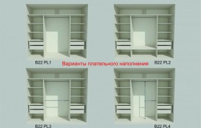 Шкаф-купе 2450 серии NEW CLASSIC K6Z+K1+K6+B22+PL2 (по 2 ящика лев/прав+1 штанга+1 полка) профиль «Капучино» в Новом Уренгое - novyy-urengoy.ok-mebel.com | фото 6