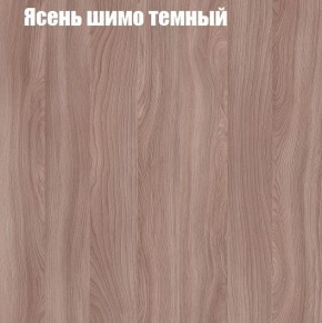 Шкаф-купе «ТАНДЕМ» 3-х дверный в алюминиевом профиле (Дверь ЛДСП+ЛДСП+ЛДСП) 2400/h2200 в Новом Уренгое - novyy-urengoy.ok-mebel.com | фото 6