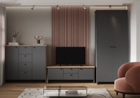 Шкаф платяной Теодора в Новом Уренгое - novyy-urengoy.ok-mebel.com | фото 3