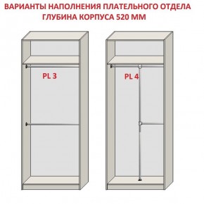 Шкаф распашной серия «ЗЕВС» (PL3/С1/PL2) в Новом Уренгое - novyy-urengoy.ok-mebel.com | фото 10