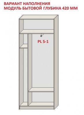 Шкаф распашной серия «ЗЕВС» (PL3/С1/PL2) в Новом Уренгое - novyy-urengoy.ok-mebel.com | фото 4