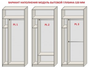 Шкаф распашной серия «ЗЕВС» (PL3/С1/PL2) в Новом Уренгое - novyy-urengoy.ok-mebel.com | фото 5