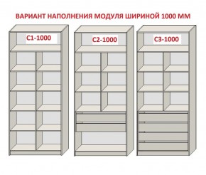 Шкаф распашной серия «ЗЕВС» (PL3/С1/PL2) в Новом Уренгое - novyy-urengoy.ok-mebel.com | фото 7