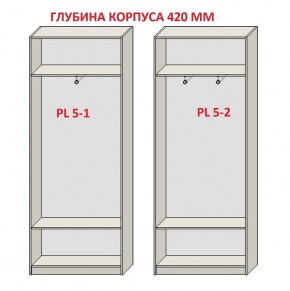 Шкаф распашной серия «ЗЕВС» (PL3/С1/PL2) в Новом Уренгое - novyy-urengoy.ok-mebel.com | фото 8