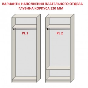 Шкаф распашной серия «ЗЕВС» (PL3/С1/PL2) в Новом Уренгое - novyy-urengoy.ok-mebel.com | фото 9