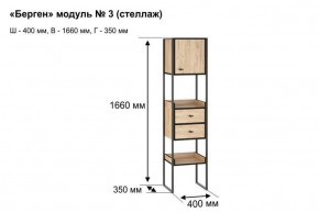 БЕРГЕН 3 Стеллаж в Новом Уренгое - novyy-urengoy.ok-mebel.com | фото 12