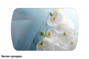 Стол Бостон 2 (1100*700) опоры Брифинг (Стекло/фотопечать Белая орхидея) в Новом Уренгое - novyy-urengoy.ok-mebel.com | фото