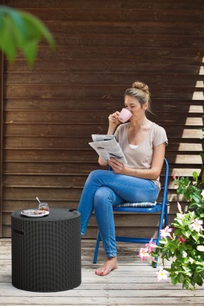 Столик-холодильник Кул-Стул (Cool stool) графит в Новом Уренгое - novyy-urengoy.ok-mebel.com | фото