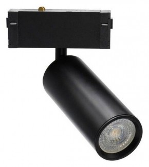Светильник на штанге Aployt Magnetic track 220 APL.0209.00.01 в Новом Уренгое - novyy-urengoy.ok-mebel.com | фото
