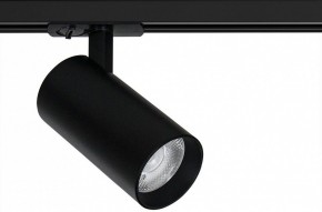 Светильник на штанге Arte Lamp Bene A1947PL-1BK в Новом Уренгое - novyy-urengoy.ok-mebel.com | фото