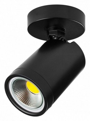 Светильник на штанге Lightstar Rullo 213407 в Новом Уренгое - novyy-urengoy.ok-mebel.com | фото