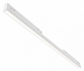 Встраиваемый светильник Maytoni Basis TR030-4-30WTW-DD2-W в Новом Уренгое - novyy-urengoy.ok-mebel.com | фото